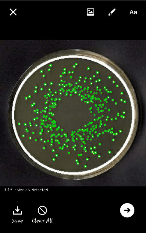 Screen 4